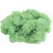  консервированный GARDEN PALETTE MONO лёд Land Moss примерно 50g lagoon GPM-20 консервированный зеленый Moss мох 
