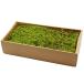  консервированный GARDEN PALETTE MONO Flat Moss высокий goke springs зеленый GPM-61 консервированный зеленый Moss мох 
