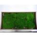  консервированный GARDEN PALETTE MONO paul (pole) Moss свежий зеленый GPM-71 консервированный зеленый Moss мох 