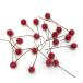 GARDEN PALETTE MONOshuga- Berry pick a-ti роза красный 20 штук GPAH-21 цветок pick фрукты pick 