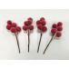 GARDEN PALETTE MONOshuga- Berry pick a-ti детали красный GPAH-22 цветок pick фрукты pick 