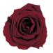  консервированный поток ru ever спрей rose 8 колесо вино FL070-10 консервированный цветок материалы для цветочной композиции роза rose 