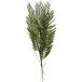  искусственный цветок YDMsi Durban доллар зеленый FG-4954-GR искусственный цветок лист предмет, искусственная зелень momi,junipa-
