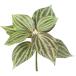  искусственный цветок YDMpi редкость серебряный tree зеленый FG-5300GR искусственный цветок лист предмет, искусственная зелень другой искусственный цветок зеленый . покупка 