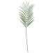  искусственный цветок YDMareka cocos nucifera leaf S зеленый FG-5302GR искусственный цветок лист предмет, искусственная зелень cocos nucifera . покупка 