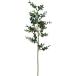  искусственный цветок YDM clair эвкалипт спрей темно-зеленый FD-0148DGR искусственный цветок лист предмет, искусственная зелень эвкалипт 
