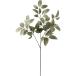  искусственный цветок YDM sepia leaf спрей зеленый FG-5335GR искусственный цветок лист предмет, искусственная зелень другой искусственный цветок зеленый . покупка 
