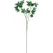  сильно сниженная цена искусственный цветок YDM ivy спрей FG-4369R-GR искусственный цветок лист предмет, искусственная зелень ivy 