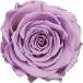  день ограничение 07 консервированный amo low обезьяна -na|6 колесо ввод опера сиреневый 1115-56 консервированный цветок материалы для цветочной композиции роза rose 