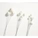  large ground agriculture . pearl pick small 7mm 24ps.@N 62771-000 flower pick pearl diamond pick 