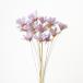  ручная работа цветок большой земля сельское хозяйство . Petit Flower 15шт.@ light purple 32140-410sola цветок прочее sola цветок 