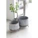  цветочный горшок модный день ограничение 07ko отдушина сад inter белый нога pot 2 позиций комплект BW-06 садоводство садоводство сопутствующие товары цветок pot железный жестяная пластина горшок 