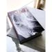  день ограничение 07ko отдушина сад книжка box #016 WKZ16 магазин салон орнамент украшение произведение искусства муляж книжка книга@ type произведение искусства 
