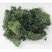  консервированный восток цветок Финляндия Moss moss green примерно 40g 71107 консервированный зеленый Moss мох 