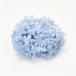  консервированный восток цветок soft .... стойка mid примерно 2 колесо baby голубой 64337 консервированный цветок материалы для цветочной композиции гортензия 