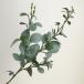  искусственный цветок Aska эвкалипт серый зеленый A-46101-63G искусственный цветок лист предмет, искусственная зелень эвкалипт 
