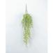  искусственный цветок Aska коралл мех n висячий втулка зеленый A-40959-51A искусственный цветок лист предмет, искусственная зелень мех n