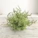  искусственный цветок Aska коралл мех n деталь зеленый A-41731-51A искусственный цветок лист предмет, искусственная зелень мех n