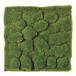  искусственный цветок Aska A-15620 Moss коврик #051A зеленый A-15620-051A искусственный цветок лист предмет, искусственная зелень мох, Moss 