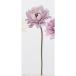  искусственный цветок Aska ветреница корончатая pick #017 lilac A-33454-17 искусственный цветок материалы для цветочной композиции [. line ] ветреница корончатая . покупка 