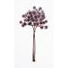  искусственный цветок Aska pompon Bunch 1 пачка 3шт.@#015 балка gun tiA-34638-15 искусственный цветок материалы для цветочной композиции [. line ] прочее [. line ] искусственный цветок материалы для цветочной композиции . покупка 