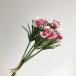  искусственный цветок Aska смолёвка каролинская Bunch 1 пачка 5шт.@#005C rose крем A-34666-5C искусственный цветок материалы для цветочной композиции [. line ] смолёвка каролинская . покупка 