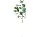  искусственный цветок Aska eucalyptus green A-44418-51A искусственный цветок лист предмет, искусственная зелень эвкалипт 