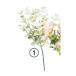  искусственный цветок Aska эвкалипт pick белый A-44347-1 искусственный цветок лист предмет, искусственная зелень эвкалипт 