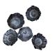  день ограничение 10 dry core trailing темно синий Park ta- head steel серый 10777 dry дикий цветок прочее дикий цветок 