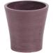  день ограничение 07 SG Wonder zone SP eko pot φ12 лиловый 132-150011-22 ваза для цветов ваза пластик акрил ваза для цветов 