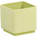  день ограничение 07 SG Wonder zone SP eko pot Cube lime зеленый 150-038LG ваза для цветов ваза пластик акрил ваза для цветов 