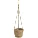  день ограничение 07 SG Wonder zone стакан цветок висячий pot M 376-002 корзина корзина si- стакан корзина 