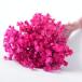  dry flow ru ever maru Sera dry approximately 15g entering dark pink FLDR0014-930 dry flower material for flower arrangement Star flower 