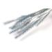 dry поток ru ever tail стакан dry примерно 20g бледный голубой FLDR0029-990 dry . предмет прочее 