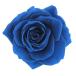  консервированный поток ru ever premium rose вынос руля есть рукав ввод 6шт.@ gran голубой FL095-12 консервированный цветок материалы для цветочной композиции роза rose 
