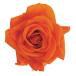  консервированный поток ru ever premium rose вынос руля есть рукав ввод 6шт.@ язык je Lynn orange FL095-29 консервированный цветок материалы для цветочной композиции роза rose 