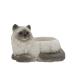 CARNAC ���٥륢�˥ޥ�22����å�GY ���졼 WG022GY ����ȭ ������� �����ǥ˥� ������� �ե��ݥå� �쥸��ȭ