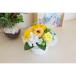 HillTopmo Rudy ng мыло организовать SM-5266 6 шт мыло цветок мыло цветок конечный продукт 