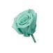  консервированный большой земля сельское хозяйство . Vivian Mini selection 9 Lynn mint blue 2371-622 консервированный цветок материалы для цветочной композиции роза rose 