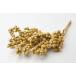  dry большой земля сельское хозяйство .kanelaN примерно 100g 22071-000 dry оригинал & фрукты дерево. реальный 