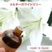 kinari местного производства aroma o ilmi ru ключ белый Lilly 30ml armj021-30ml свеча материал свеча ароматические вещества 