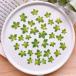  день ограничение 10 dry m flowers засушенный цветок b pre lium сухой цветок материалы для цветочной композиции засушенный цветок 