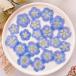  день ограничение 10 dry m flowers засушенный цветок немофила сухой цветок материалы для цветочной композиции засушенный цветок 
