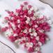  день ограничение 10 dry m flowers гипсофила dry средний размер окраска рубин & белый сухой цветок материалы для цветочной композиции rental mi.
