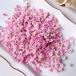  день ограничение 10 dry m flowers гипсофила dry окраска розовый сухой цветок материалы для цветочной композиции rental mi.