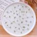  день ограничение 10 dry m flowers засушенный цветок стебель имеется гонки цветок сухой цветок материалы для цветочной композиции засушенный цветок 