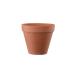 день ограничение 08 зеленый pot стандартный pot 13cm DE-01130 цветочный горшок модный садоводство садоводство сопутствующие товары цветок pot терракота неглазурованный фарфор .