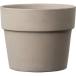  день ограничение 08 зеленый pot perufeto Cappuccino 11cm дыра нет DE-4S11JPZ цветочный горшок модный садоводство садоводство сопутствующие товары цветок pot терракота неглазурованный фарфор .