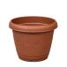  Apple одежда -k rest посадочная машина круг 260 type Brown садоводство садоводство сопутствующие товары посадочная машина пластик 