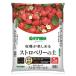  высокий po шея s Japan высокий po шея s специальный cубстрат клубника. земля 5L садоводство садоводство сопутствующие товары садоводство для земля для земля, cубстрат 
